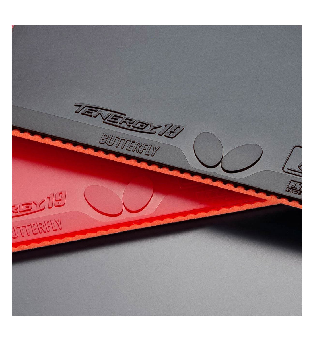 Butterfly Tenergy 19